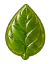 greens(1)