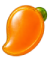 mango(1)